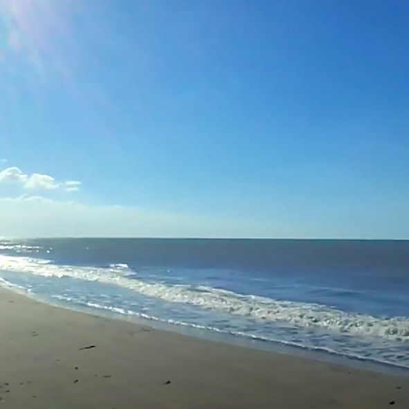 Playas de Centla